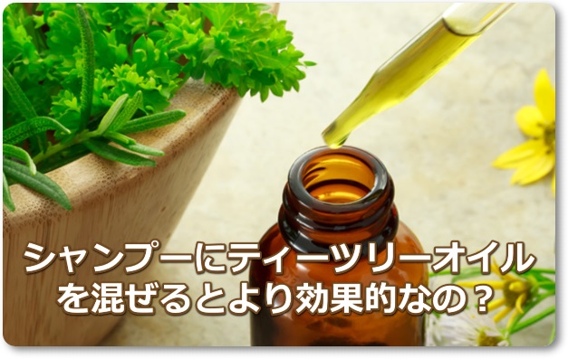 脂漏性皮膚炎シャンプーにティーツリーを入れる